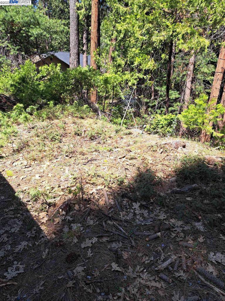 Pollock Pines, CA 95726,Address not disclosed