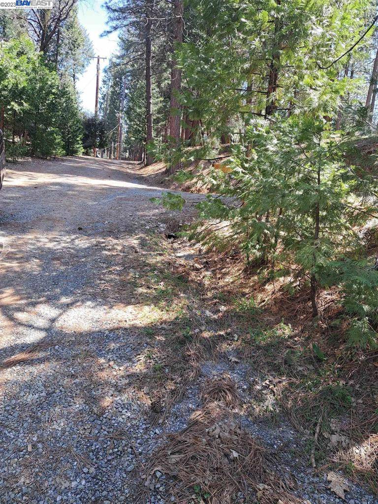 Address not disclosed Pollock Pines, CA 95726