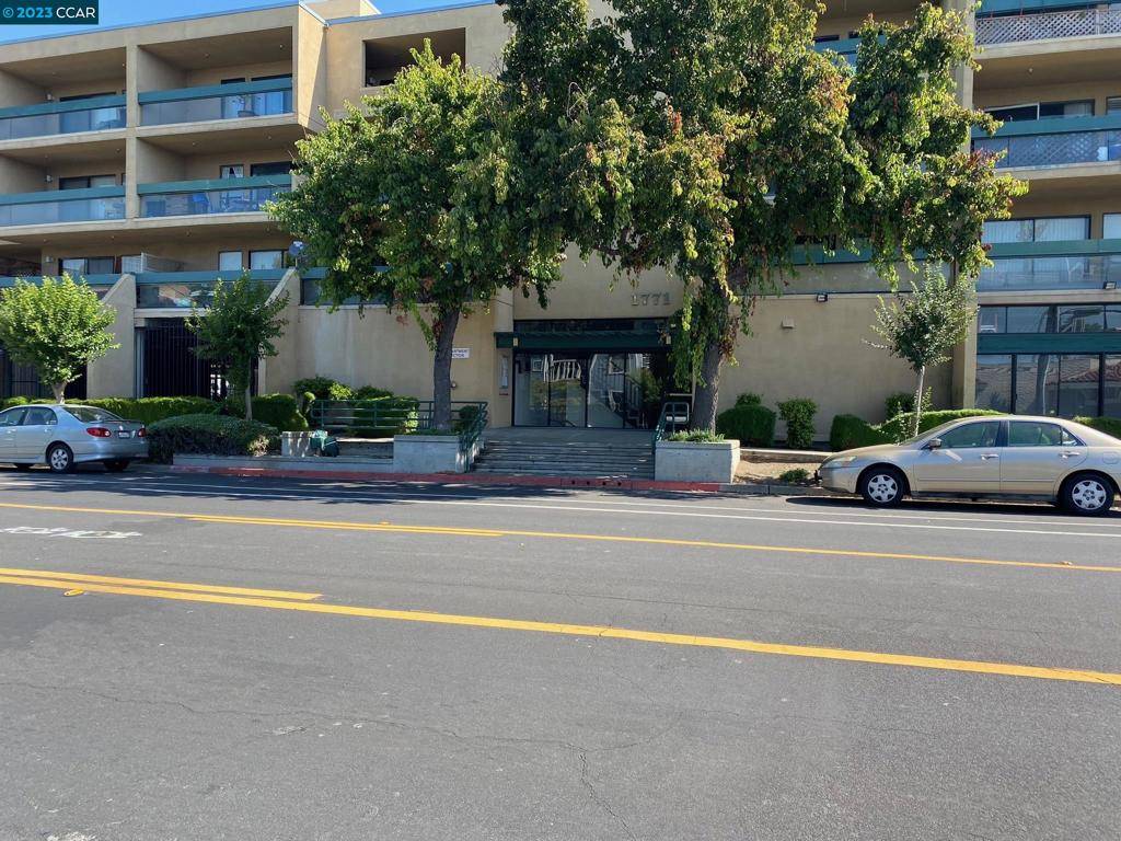 Concord, CA 94520,1771 Broadway St #113