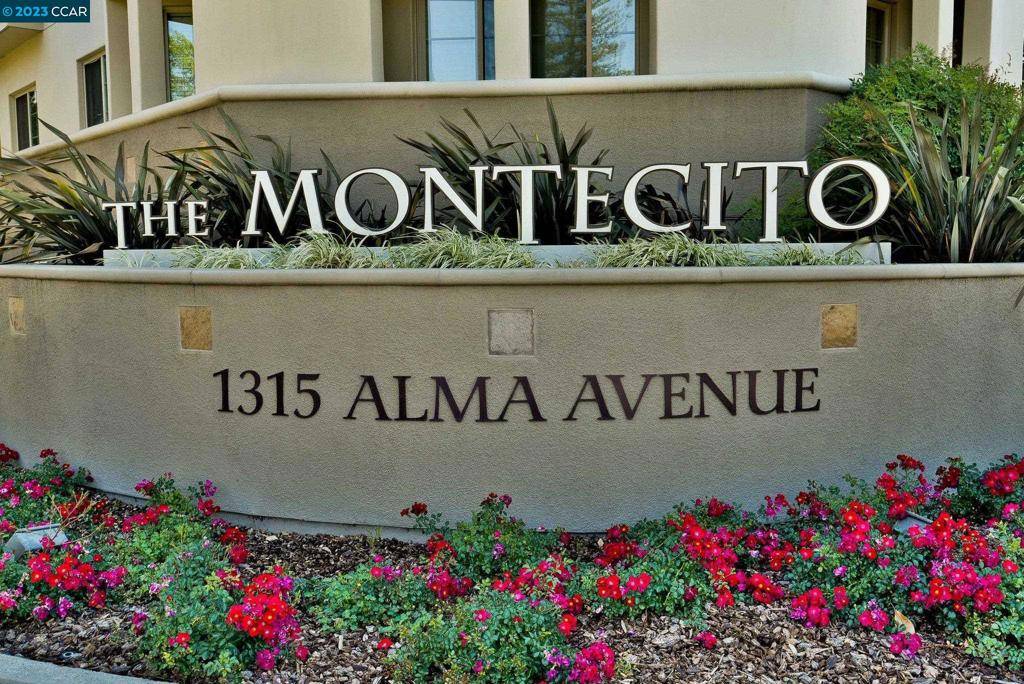 Walnut Creek, CA 94596,1315 Alma Ave #331