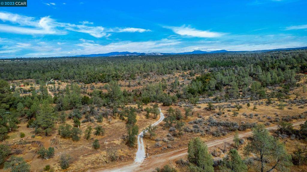 Shingletown, CA 96088,Lack Creek, Lot 32