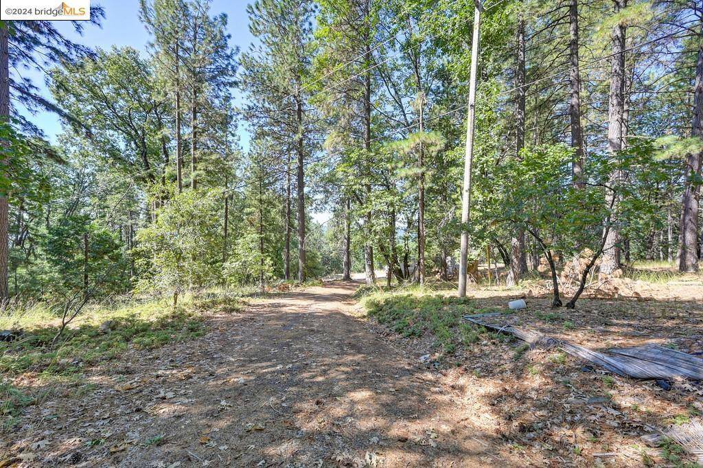 Grass Valley, CA 95945,17456 Knoll Top Dr