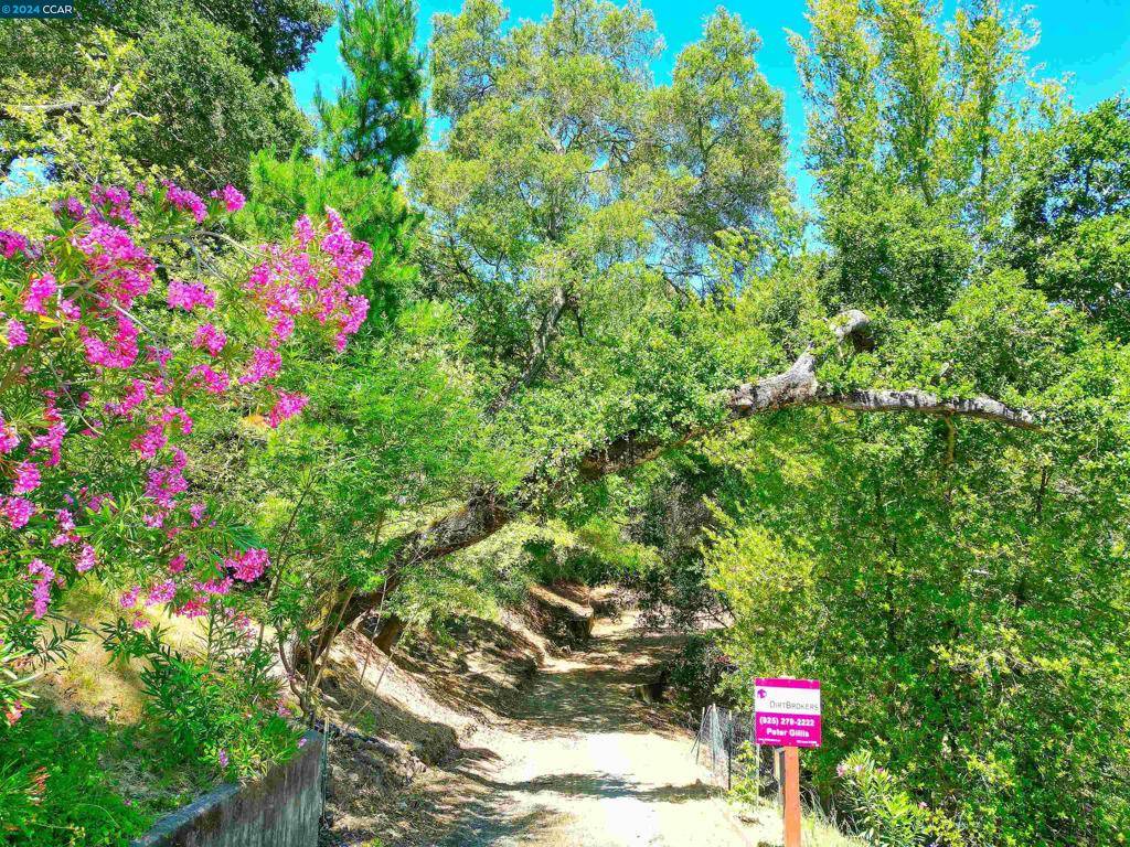 Orinda, CA 94563,38 Oak Ridge Ln