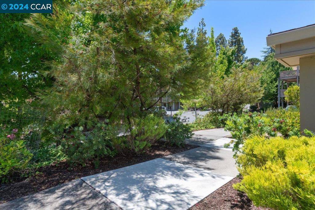 Walnut Creek, CA 94595,1200 Singingwood #7