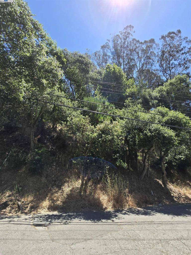Oakland, CA 94611,7001 Paso Roble