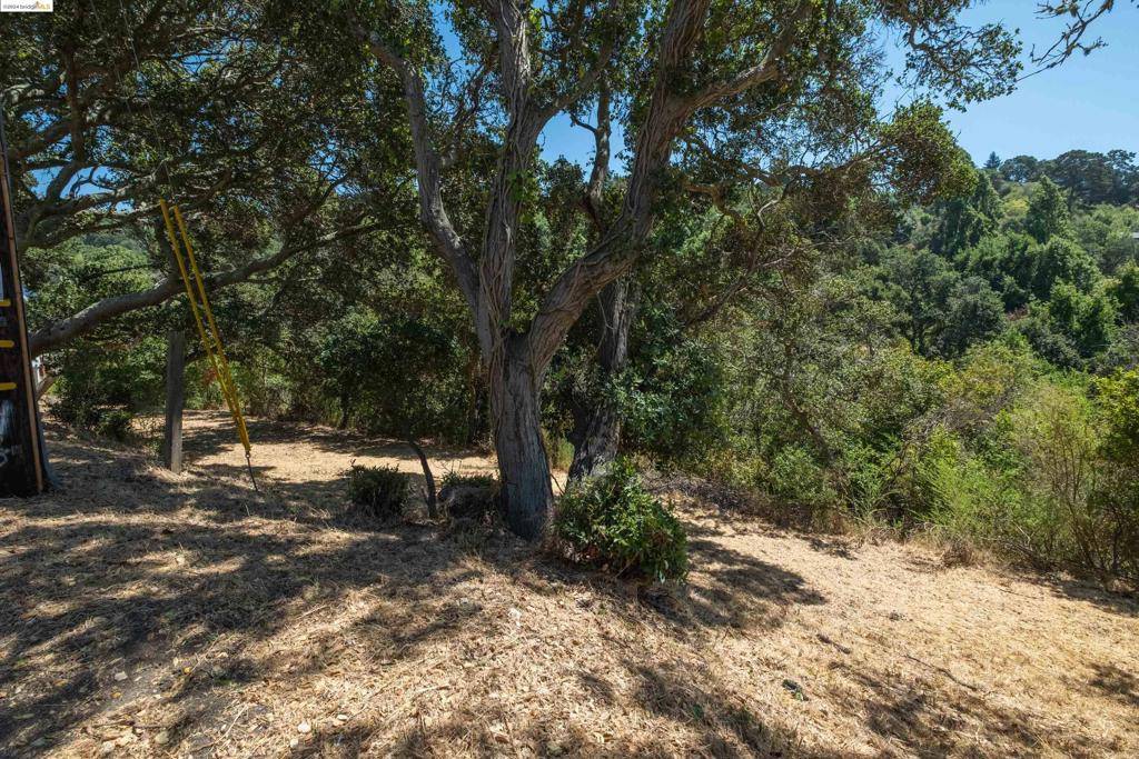 El Sobrante, CA 94803,0 Sobrante Ave