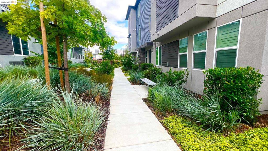 Hayward, CA 94544,414 Trace Ln
