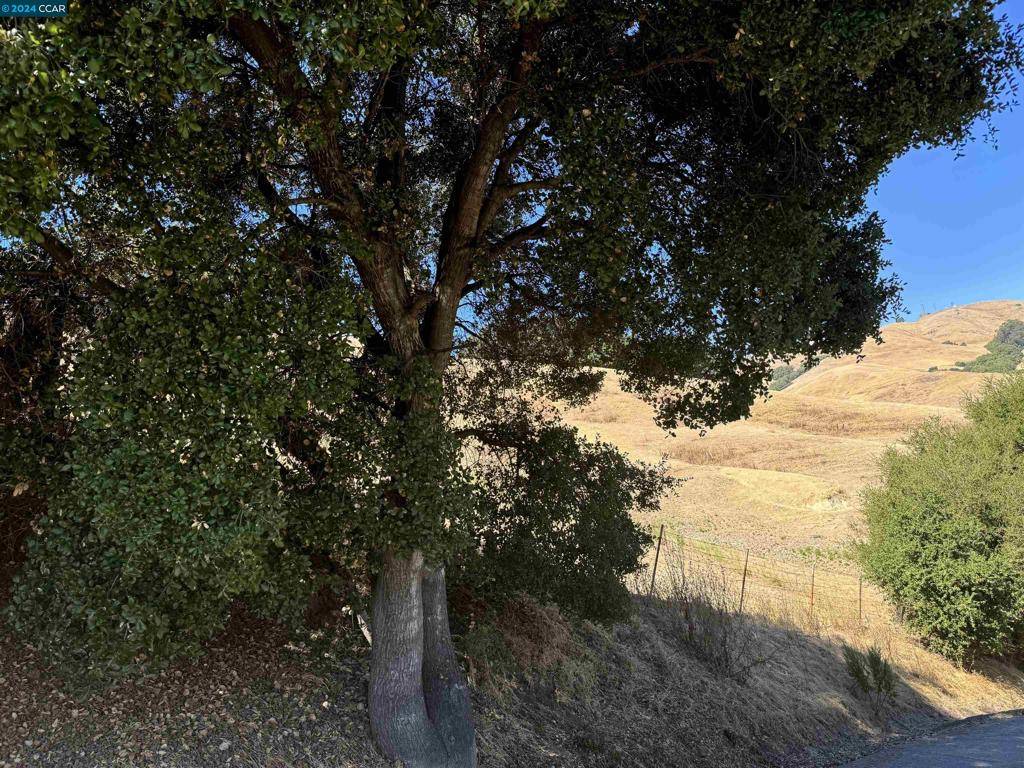 Castro Valley, CA 94546,Eden Canyon Rd