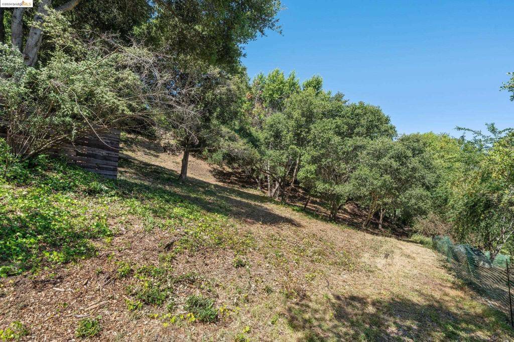 Orinda, CA 94563,36 Lucille Way