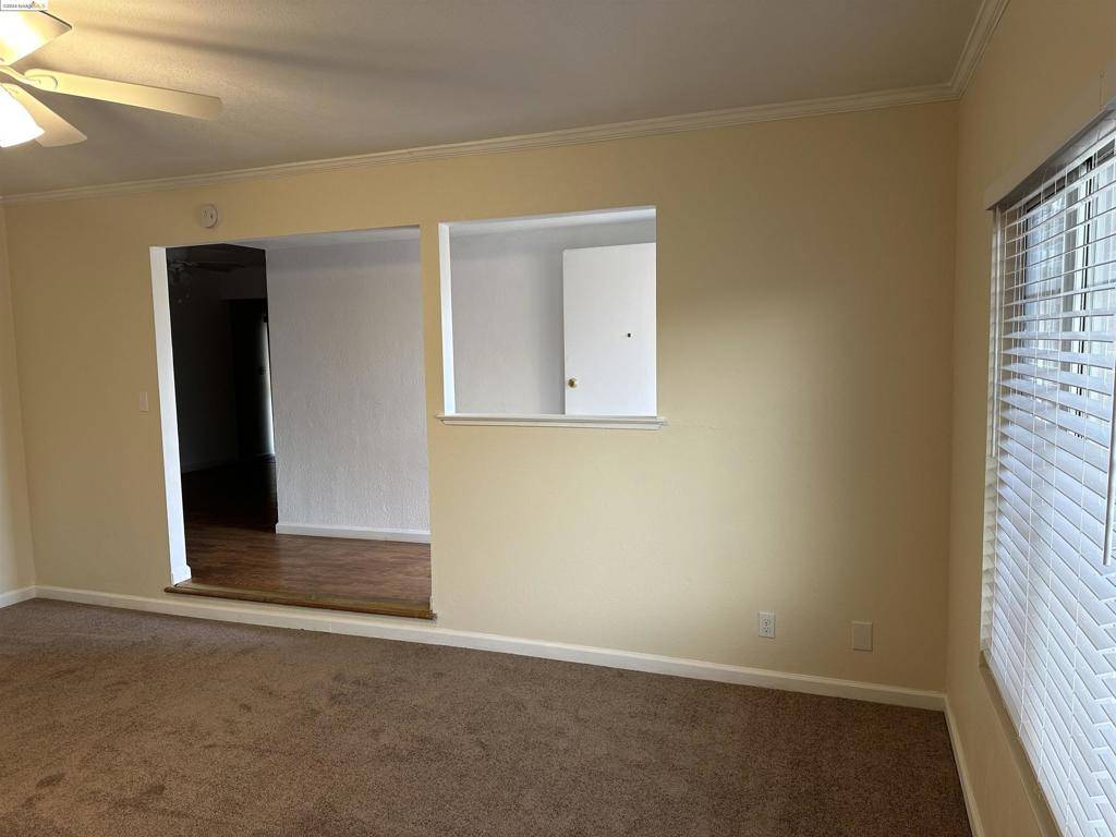 Antioch, CA 94509-9999,1216 putnam street