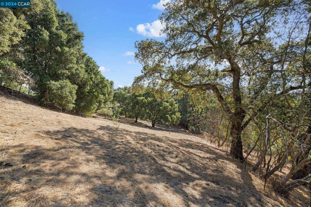 Orinda, CA 94563,9 Charles Hill Rd