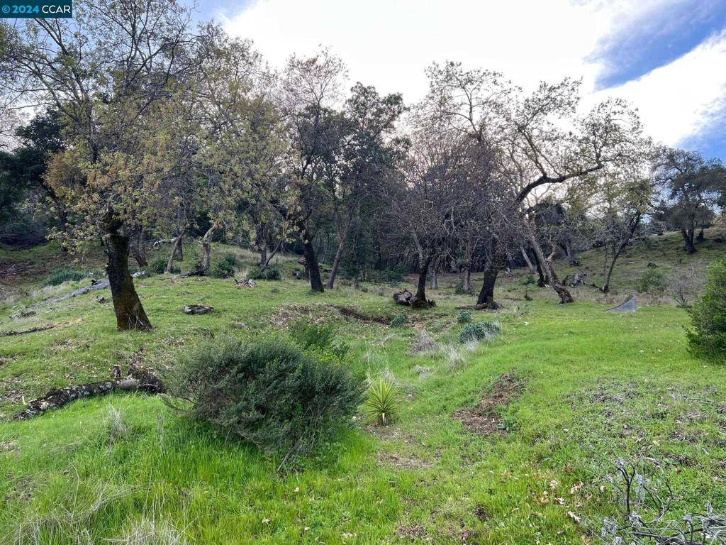 Napa, CA 94558,228 Country Club Lane