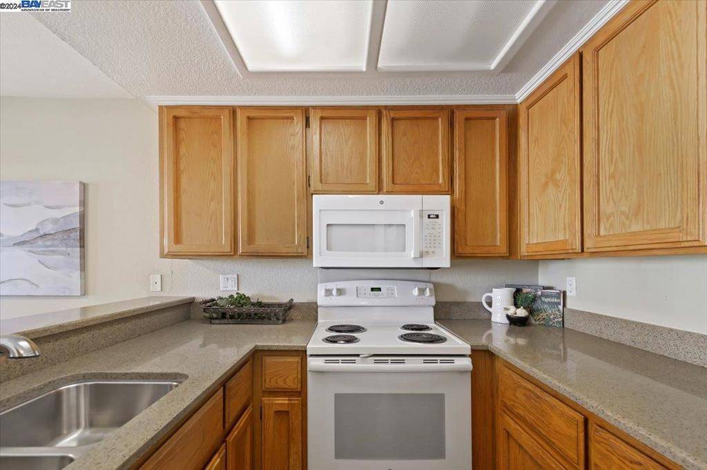 Castro Valley, CA 94546,2503 Miramar Ave. #231