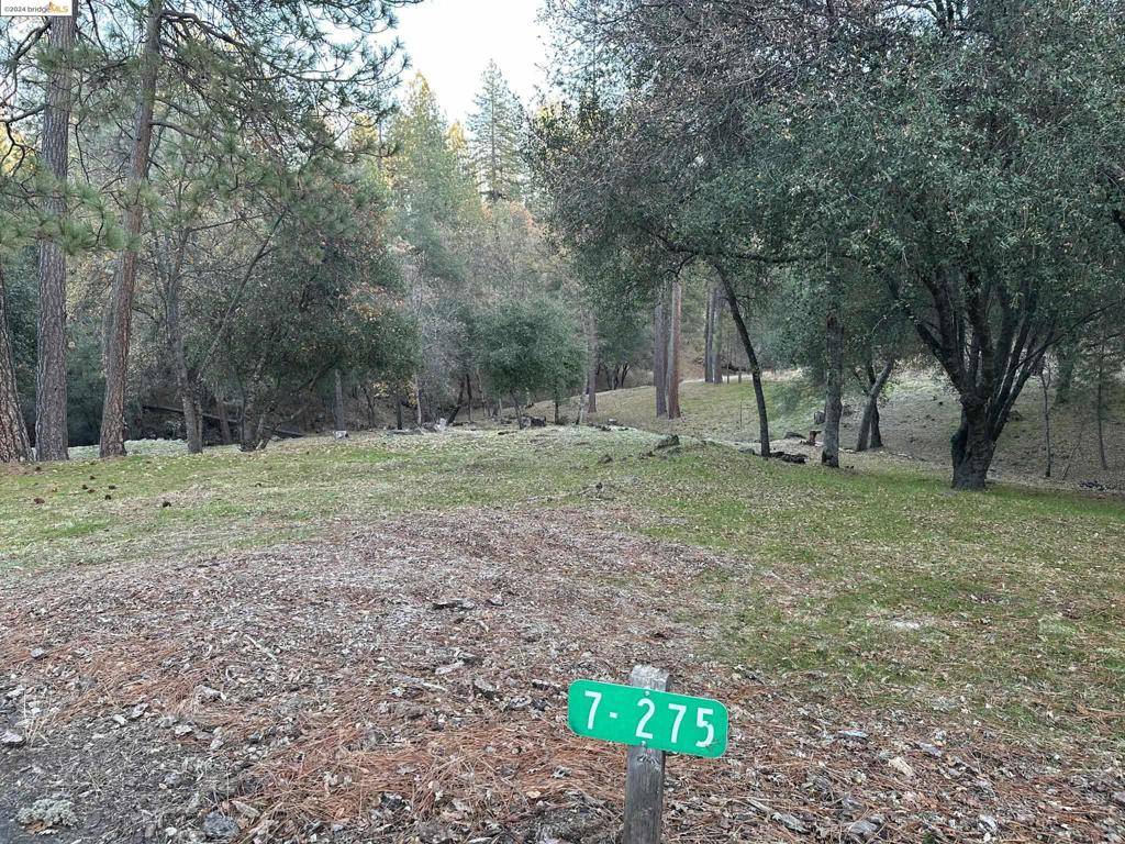 Groveland, CA 95321,13095 Fox Ct