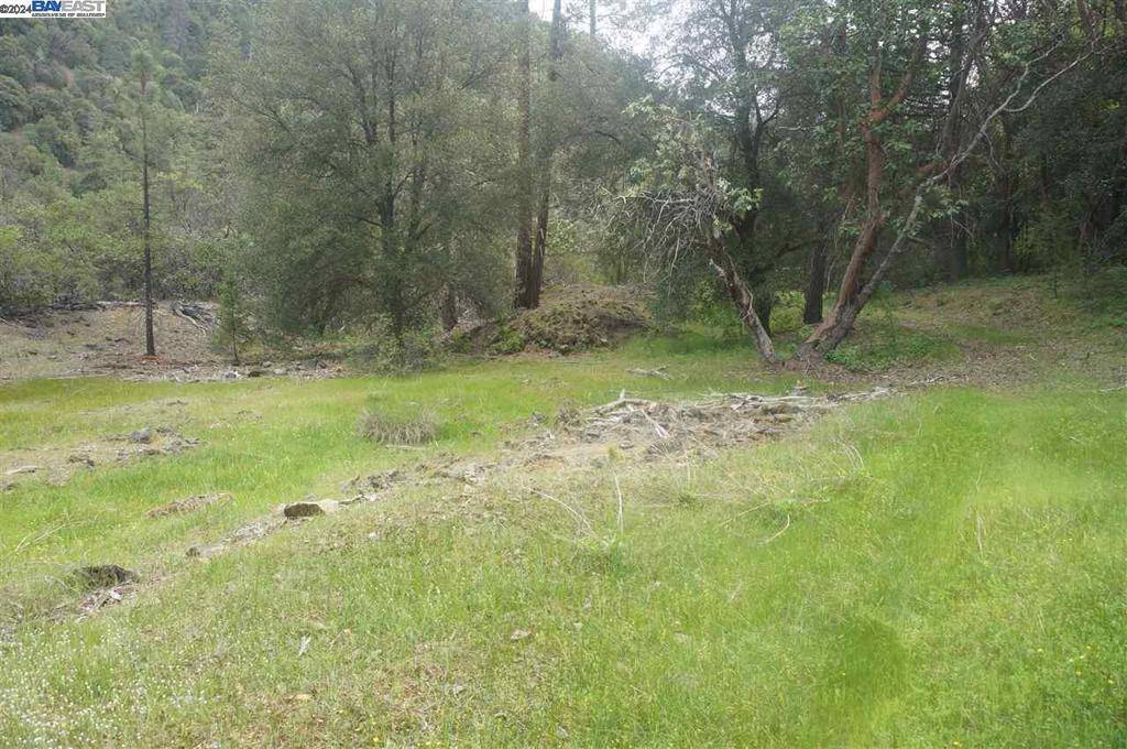 Junction City, CA 96048,6269 Dutch Creek