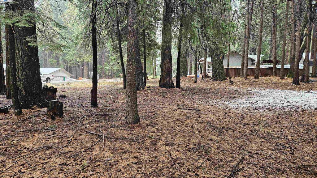 Pollock Pines, CA 95726,6624 Onyx Trail
