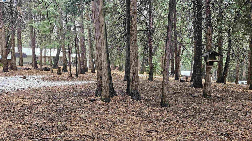 Pollock Pines, CA 95726,6624 Onyx Trail