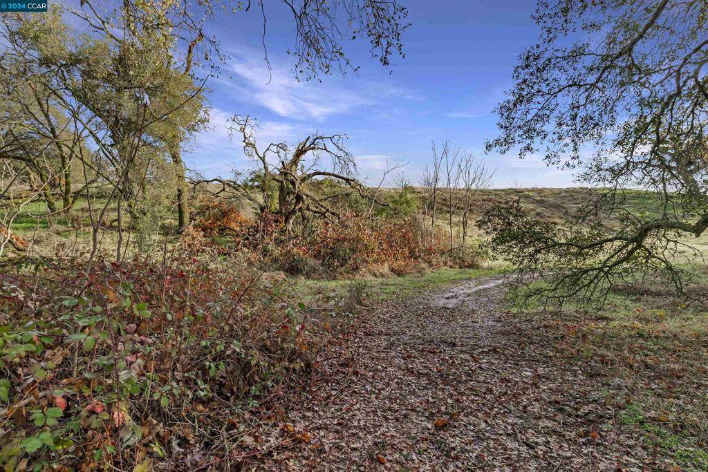 1 Pacific Heights Oroville, CA 95965