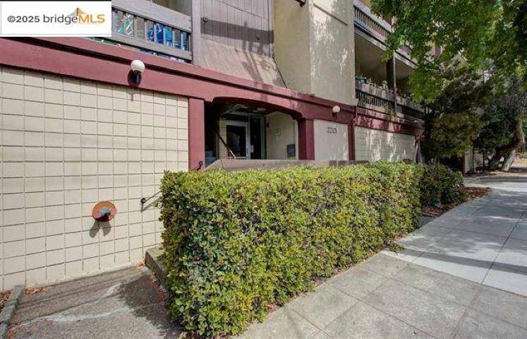 Berkeley, CA 94709,2201 Virginia St #6