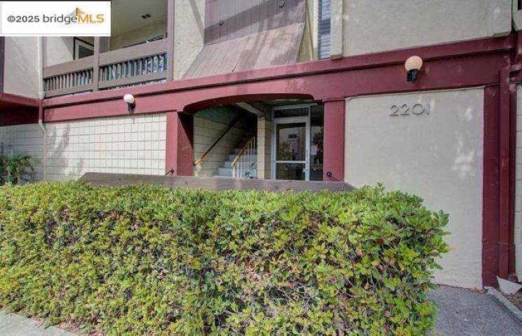 Berkeley, CA 94709,2201 Virginia St #6