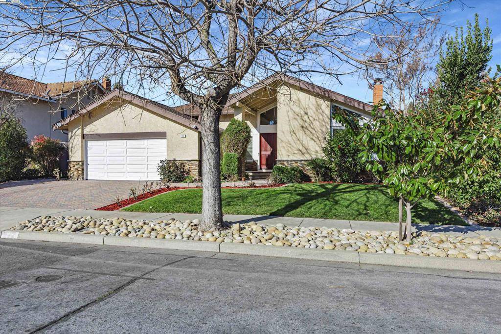 Fremont, CA 94539,705 Ondina Dr