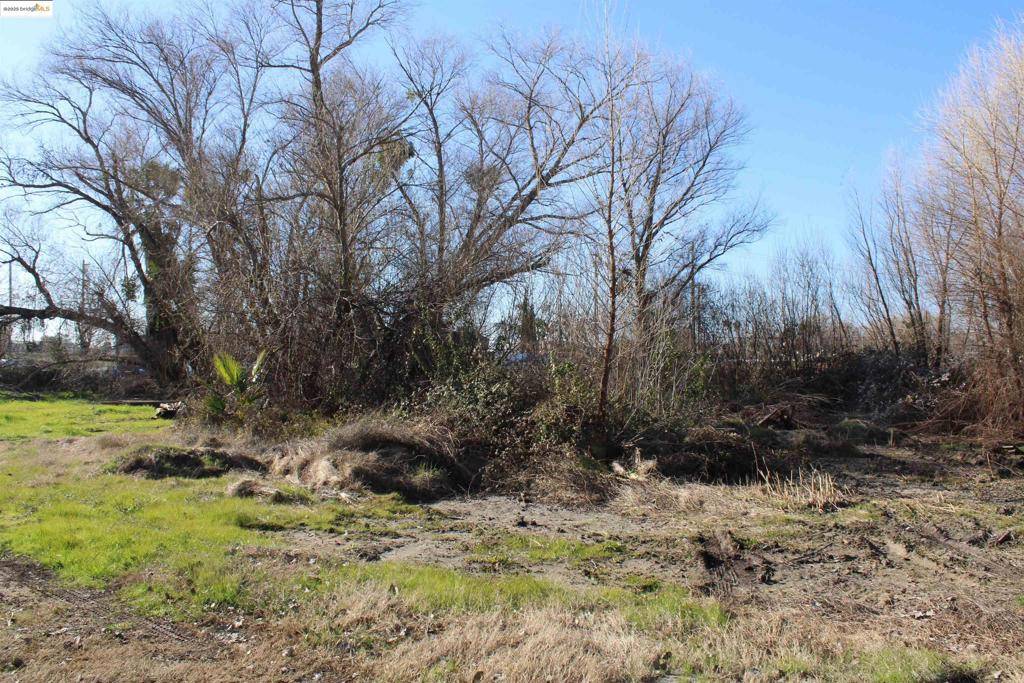 Bethel Island, CA 94511,412 Park Ln