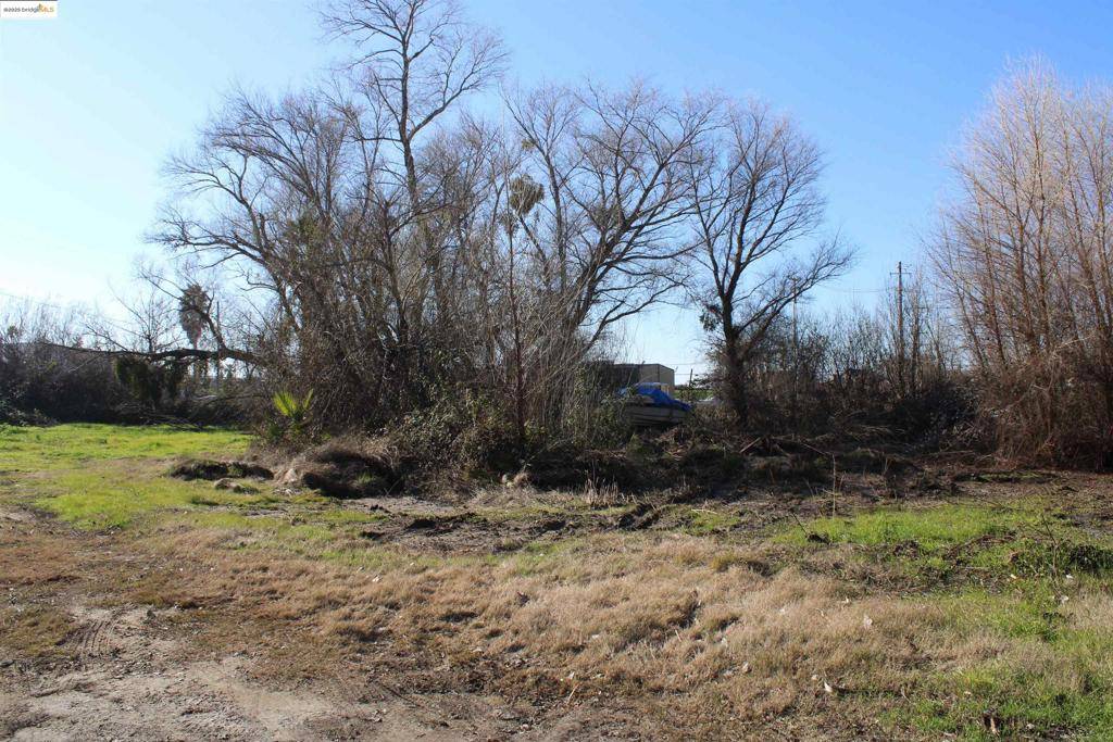 Bethel Island, CA 94511,420 Park Ln