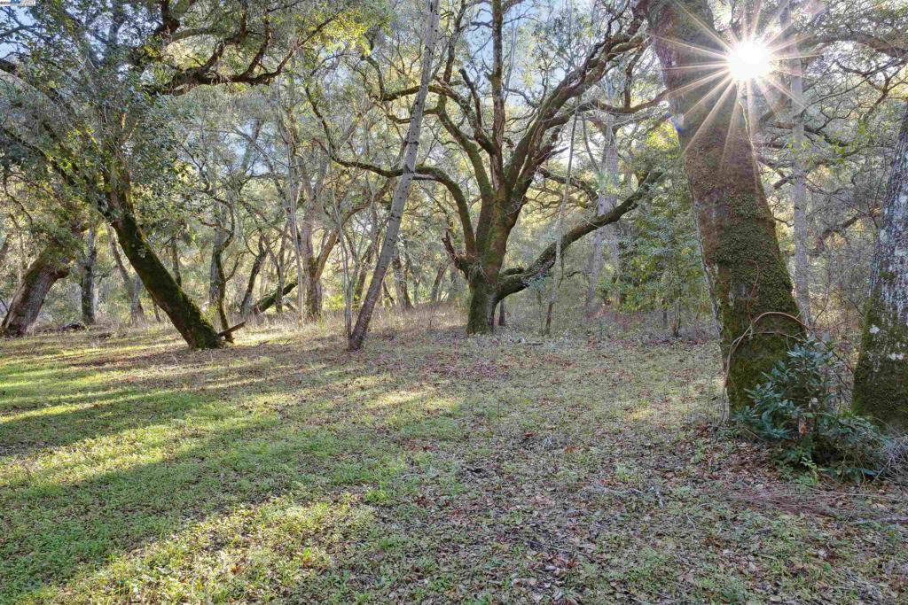 Carmel, CA 93923,11 Arroyo Sequoia
