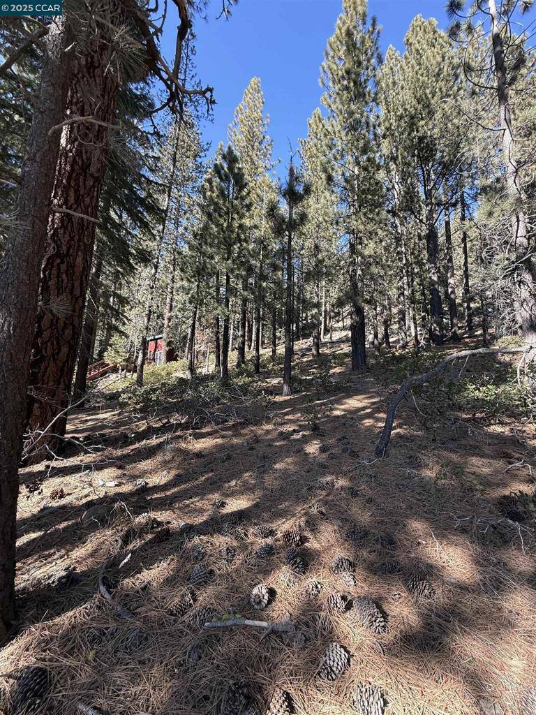 Truckee, CA 96161-5020,12442 Richards Blvd