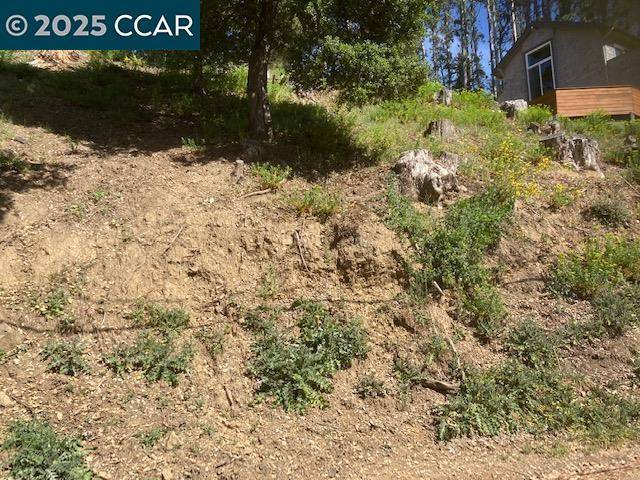 Oakland, CA 94611,0 Woodrow Drive