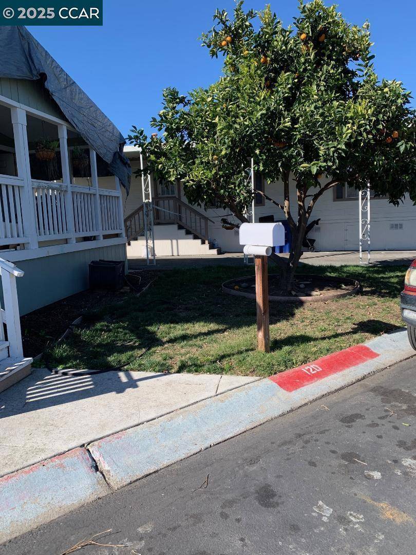 Concord, CA 94520,120 A St