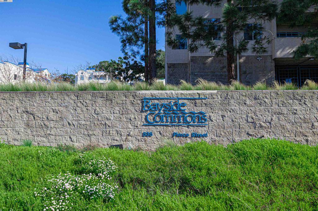 Albany, CA 94706,535 Pierce Street #2310
