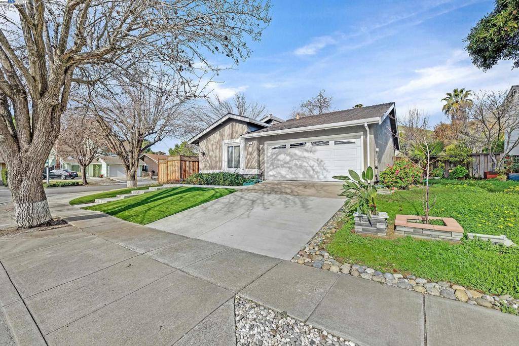 Fremont, CA 94536,8 Snyder Way