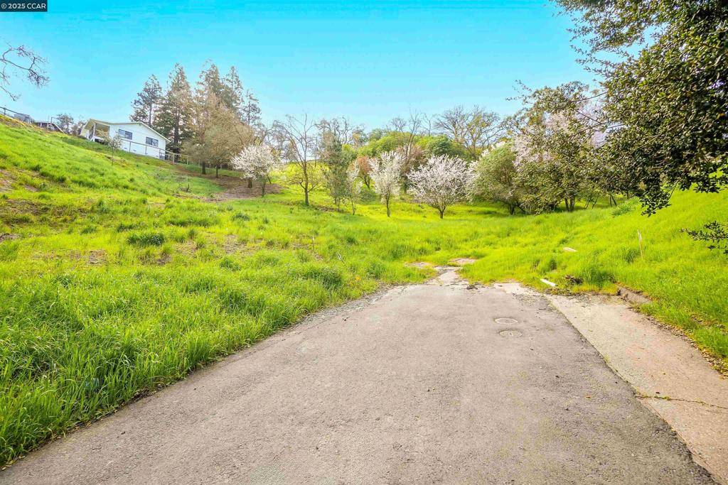 Walnut Creek, CA 94597,40 Rodrigues Ln