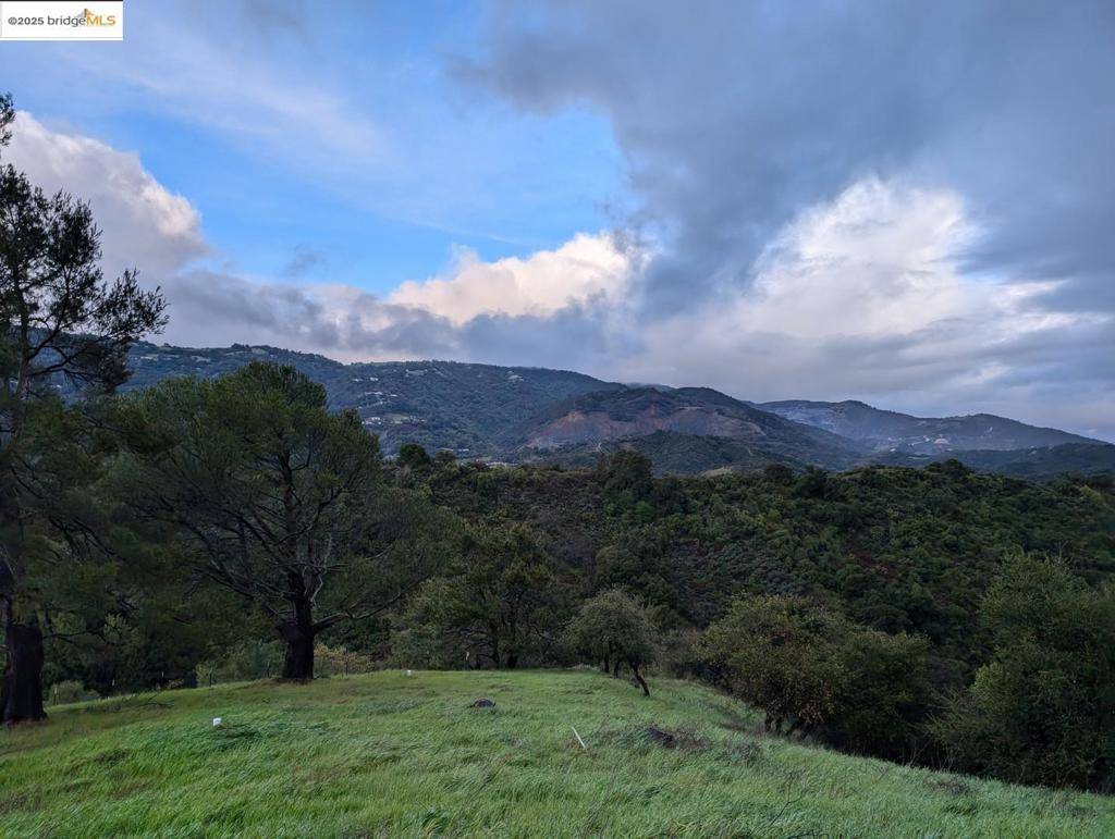 22346 Regnart RD Cupertino, CA 95014