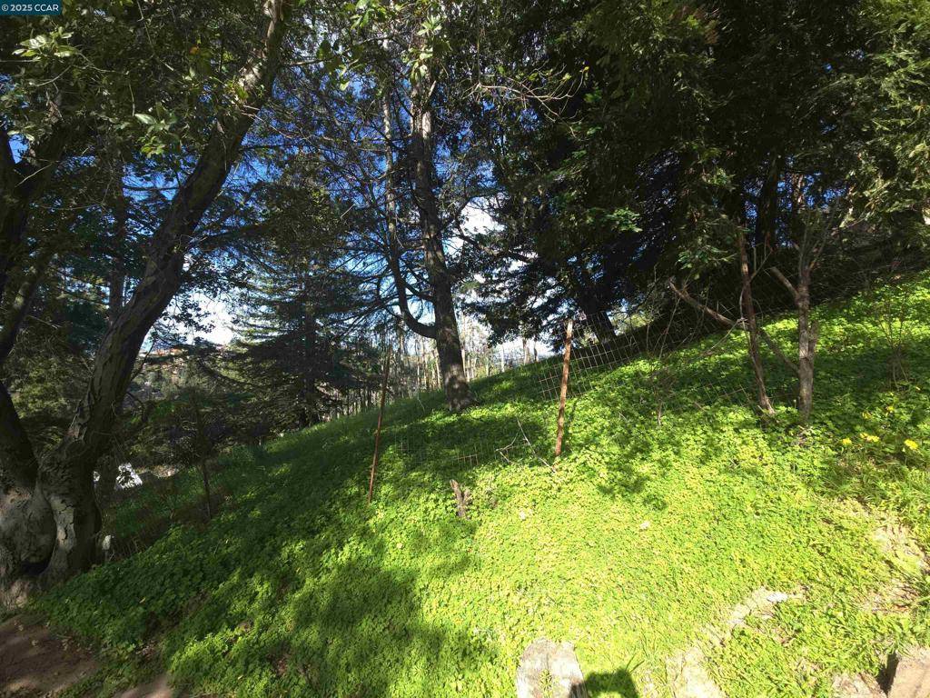 Oakland, CA 94611,260 Capricorn Ave.
