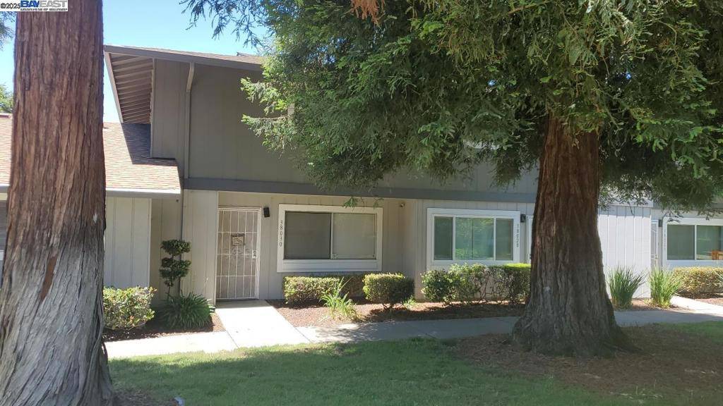 Fremont, CA 94536,38030 Dundee Cmn