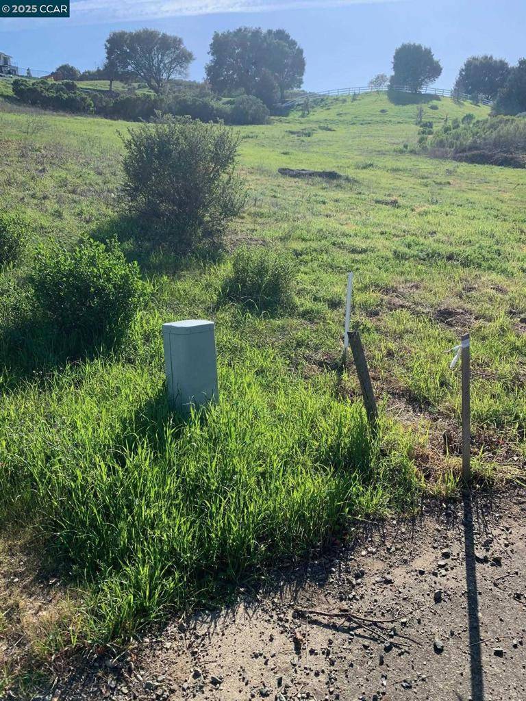 Vallejo, CA 94591,961 Lyndhurst Ln