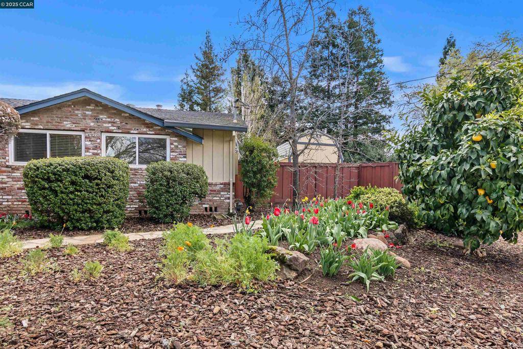 Walnut Creek, CA 94598,530 Wiget Ln