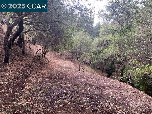Oakland, CA 94605,Mountain View Ave