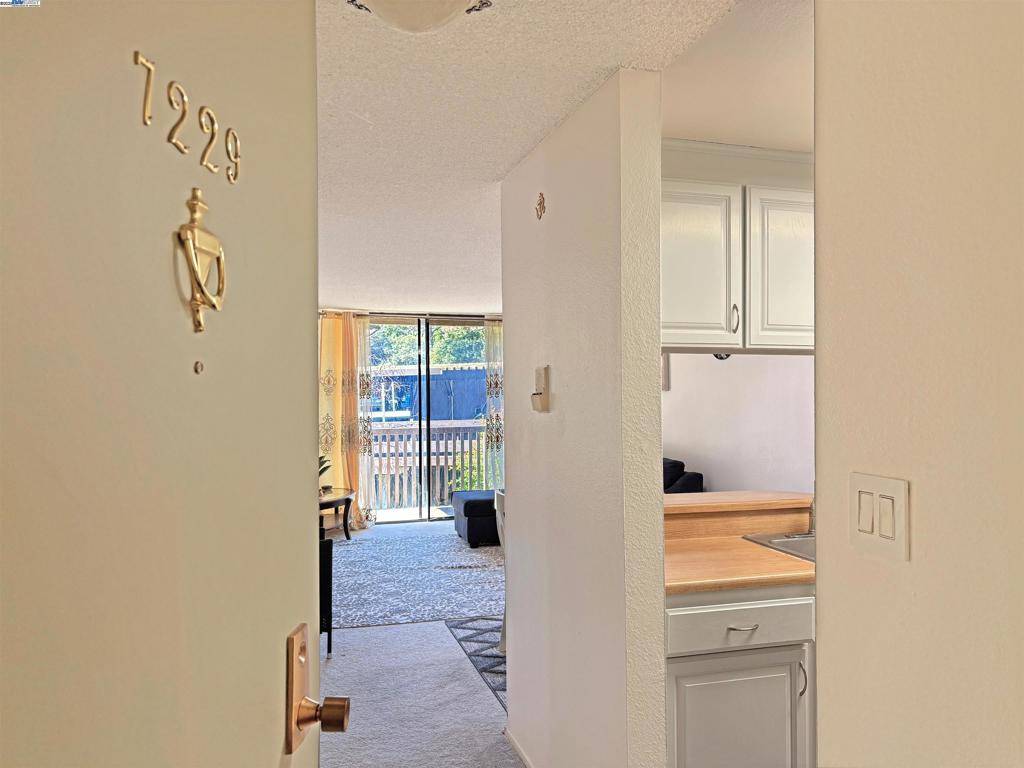 San Bruno, CA 94066,7229 Shelter Creek Ln
