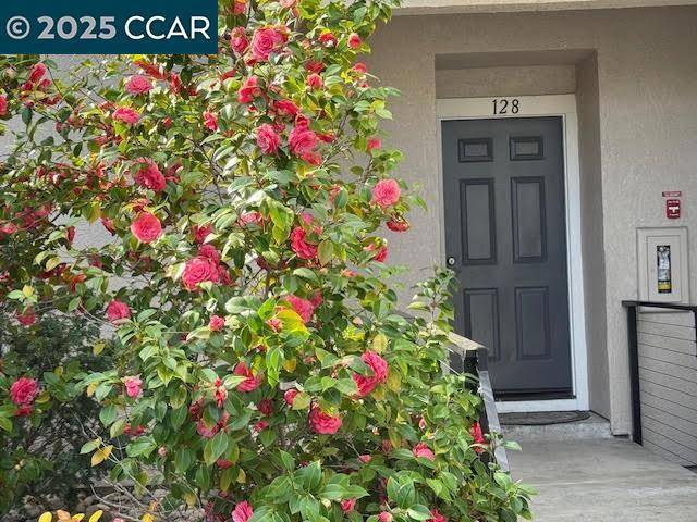 Walnut Creek, CA 94597-7802,2683 Oak Rd. ##128