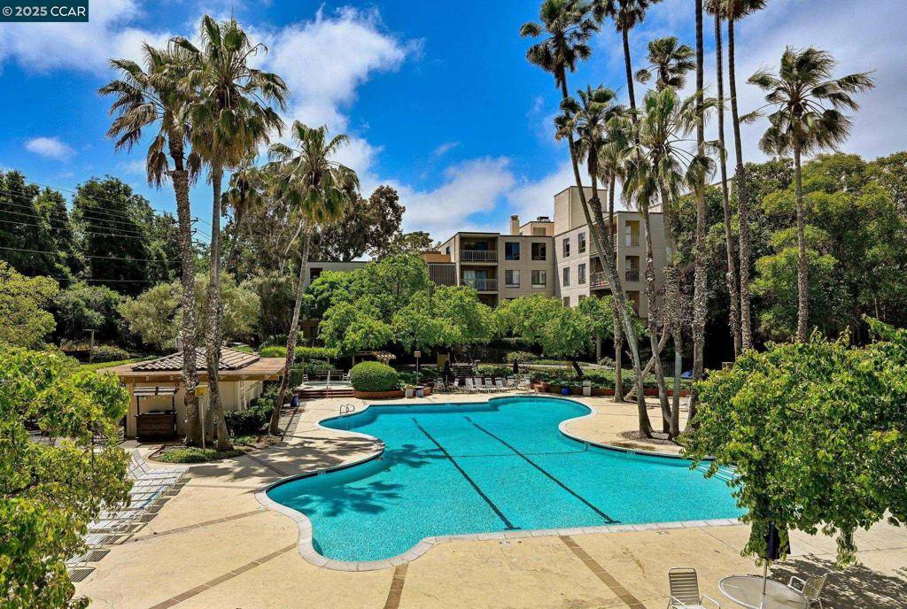 Walnut Creek, CA 94596,410 N Civic Dr #202