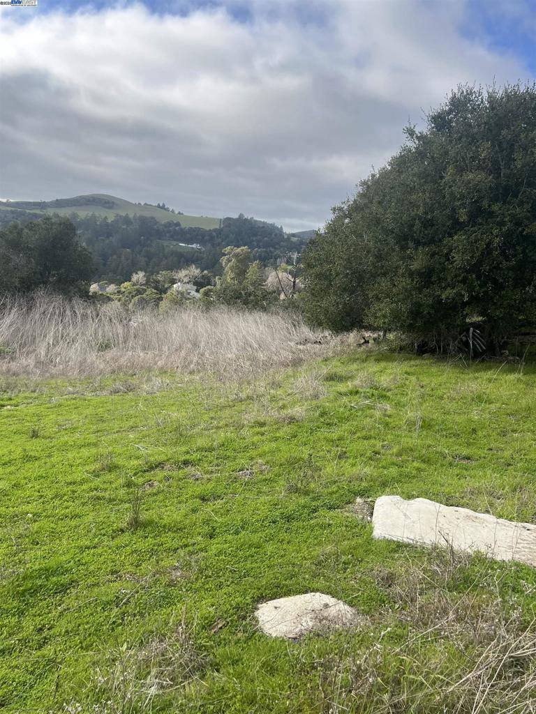 La Honda, CA 94020,20 Scenic Drive