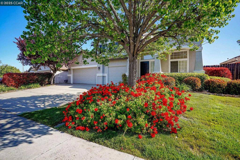 Antioch, CA 94531-9025,5229 Feather Way