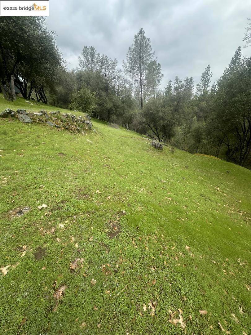 Groveland, CA 95321,13095 Fox CT