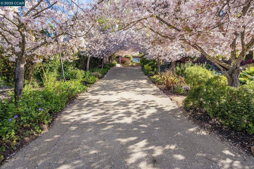 Orinda, CA 94563,53 Van Ripper Ln