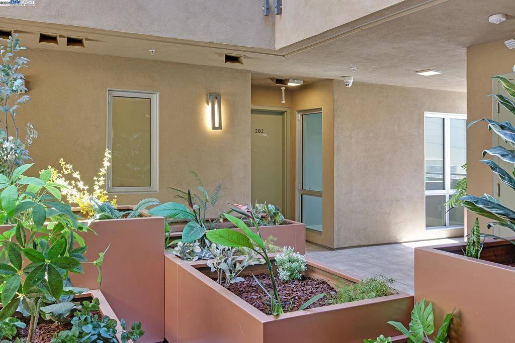 San Carlos, CA 94070,520 El Camino Real #202