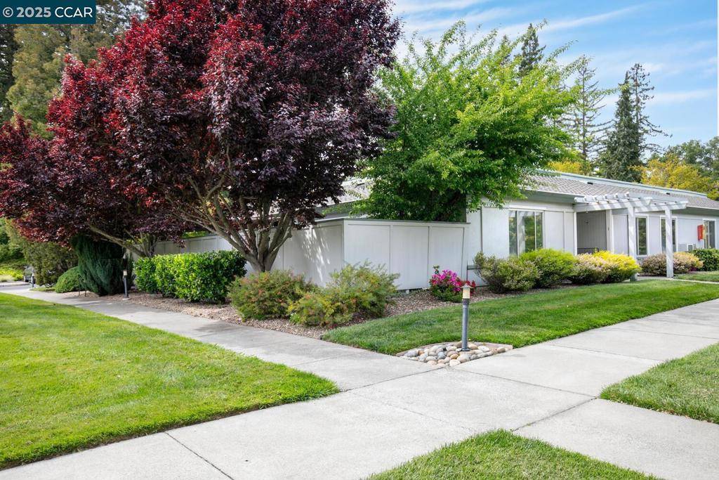 Walnut Creek, CA 94595,1441 Skycrest Dr #1