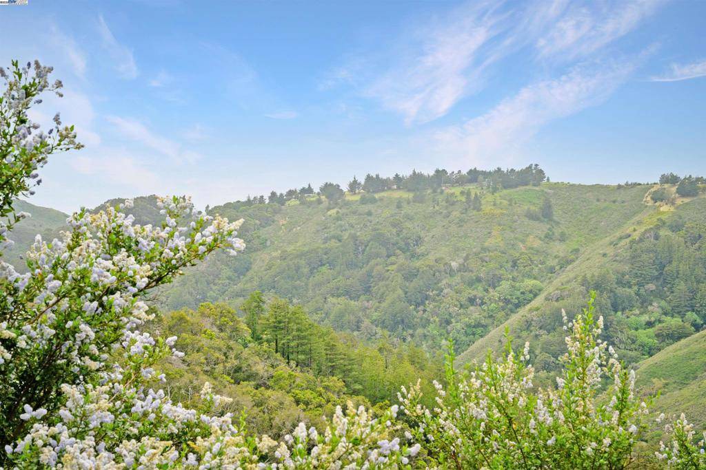 Big Sur, CA 93920,46190 Pfeiffer Ridge Rd